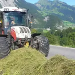 בית חווה Bauernhof Duenser Au (Bregenz)
