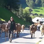 Bauernhof Duenser