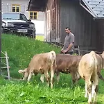 Bauernhof Duenser Au (Bregenz)