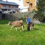 Bauernhof Duenser *