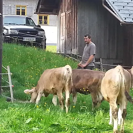Bauernhof Duenser Au (Vorarlberg)