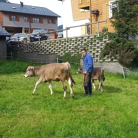 Bauernhof Dunser *