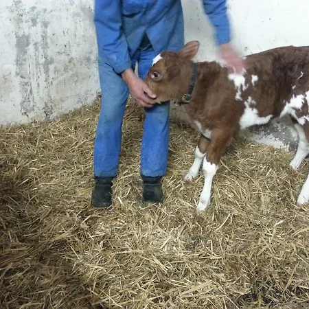 Séjour à la ferme Bauernhof Duenser