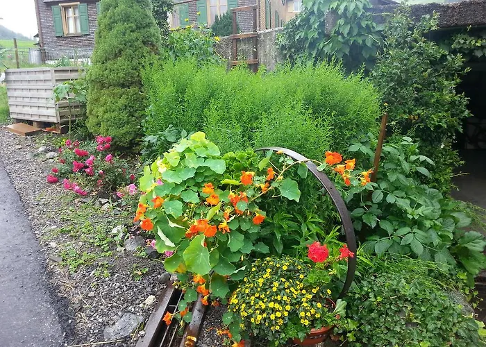 Bauernhof Dunser Au (Bregenz)