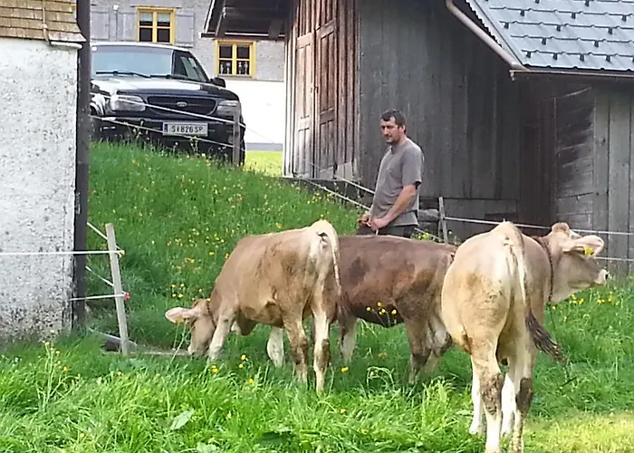 Bauernhof Dunser Au (Bregenz)